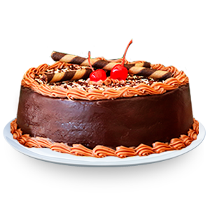 Pastel Chocolate